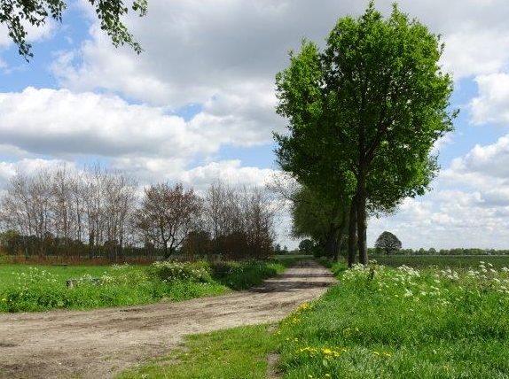 Zwaluwenbunders (5) definitief geen bedrijventerrein Zwaluwenbunders (5) definitief geen bedrijventerrein